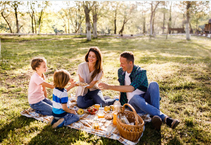 Family Picnic